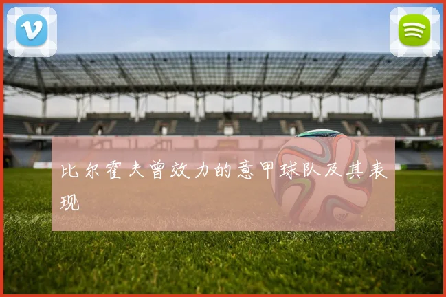 比尔霍夫曾效力的意甲球队及其表现