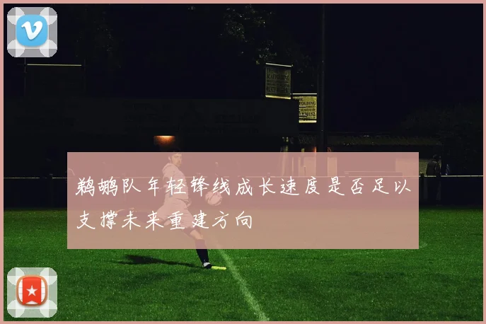 鹈鹕队年轻锋线成长速度是否足以支撑未来重建方向