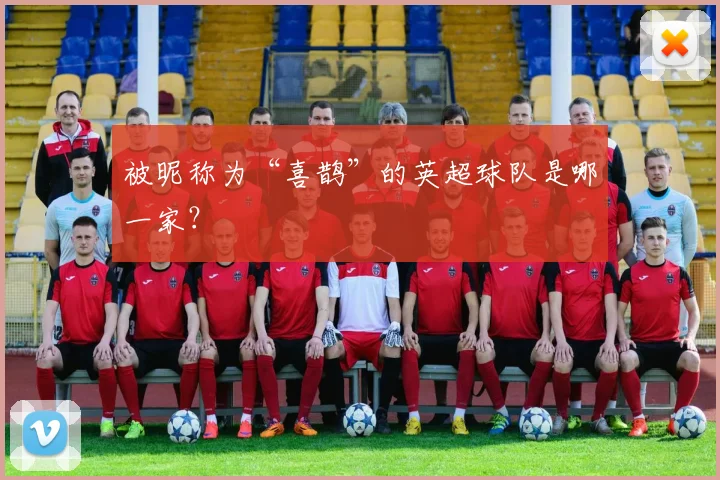 被昵称为“喜鹊”的英超球队是哪一家？